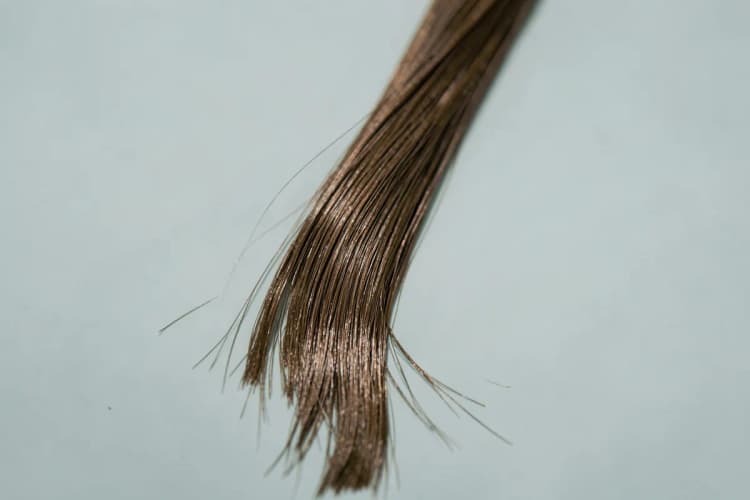 Benefícios da biotina para o cabelo. Fio de cabelo saudável e brilhante.